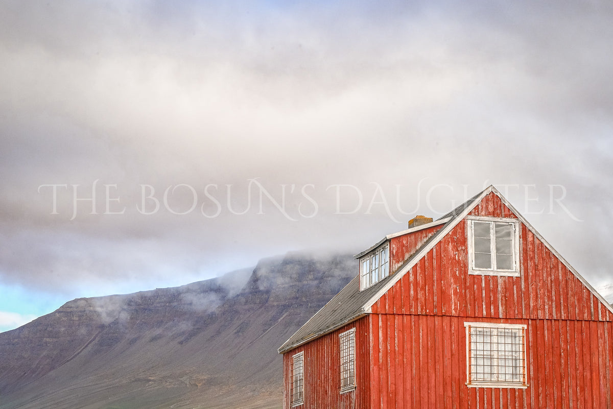 Where Life Meets the Arctic Coast