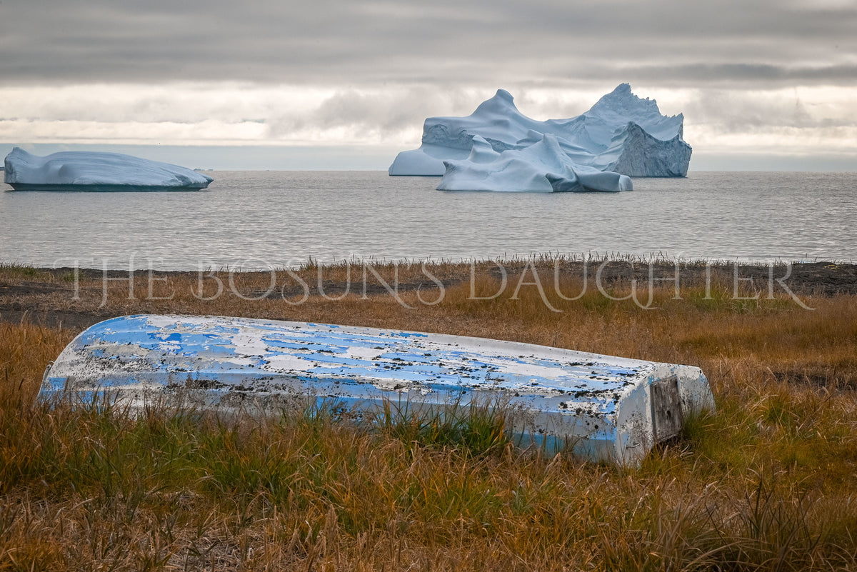 Where Life Meets the Arctic Coast