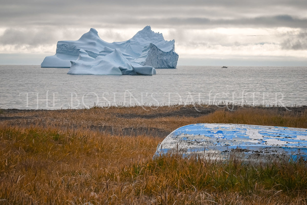 Where Life Meets the Arctic Coast