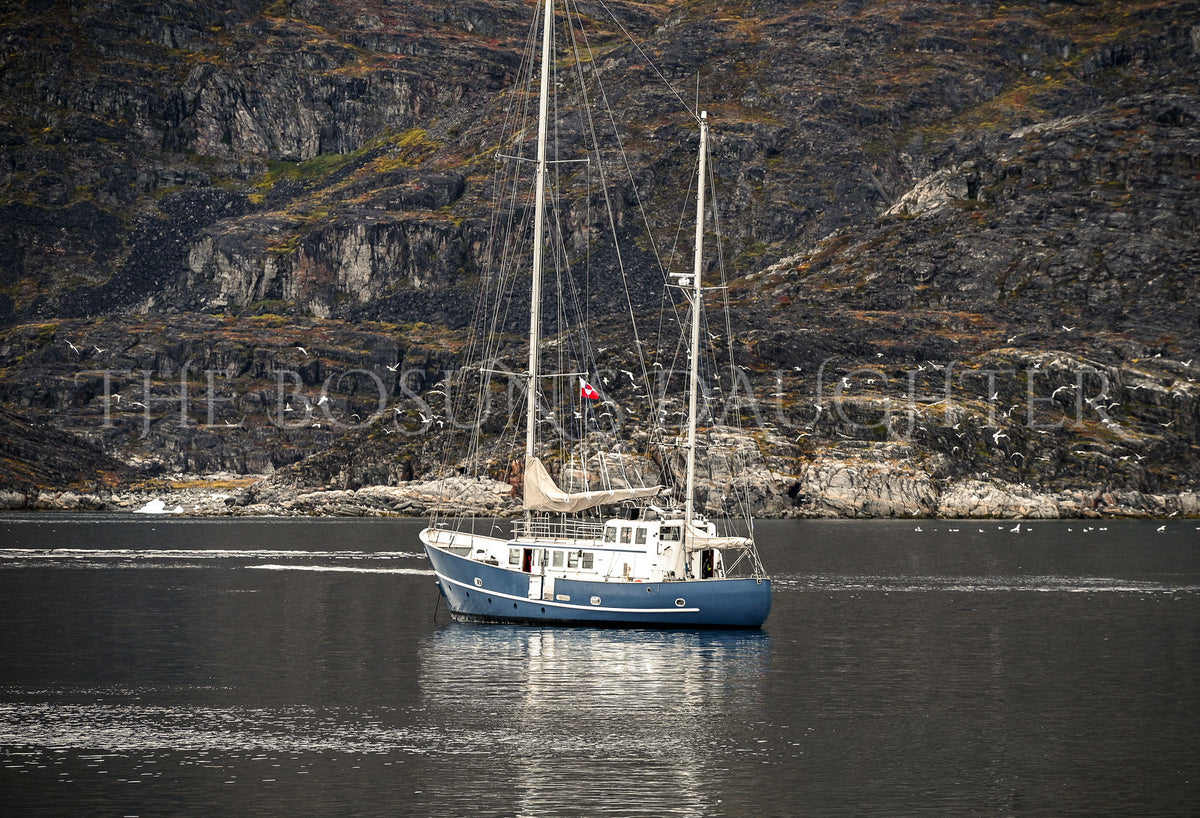 Where Life Meets the Arctic Coast