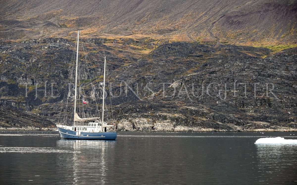 Where Life Meets the Arctic Coast