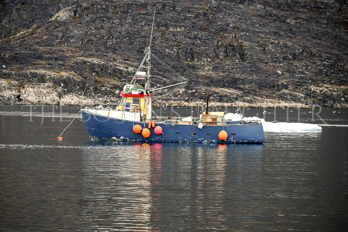 Where Life Meets the Arctic Coast