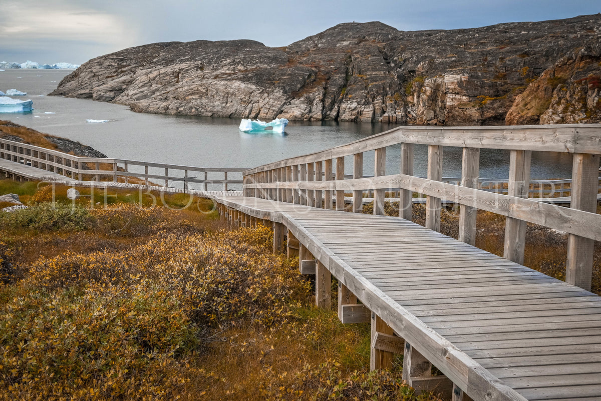 Where the Arctic Meets the Sea