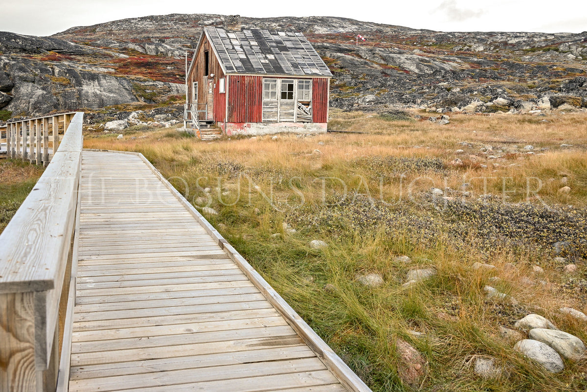 Where the Arctic Meets the Sea