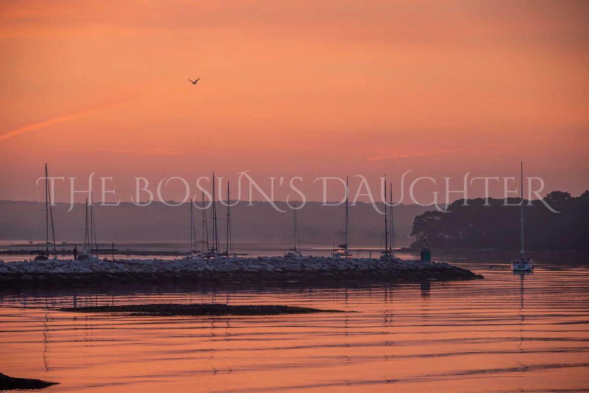 Where Morning Finds the Harbor