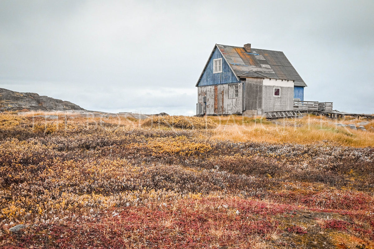 Where the Arctic Meets the Sea