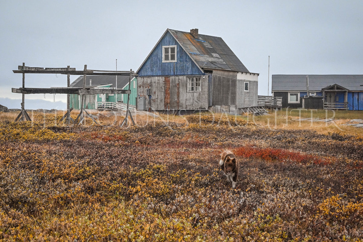 Where the Arctic Meets the Sea