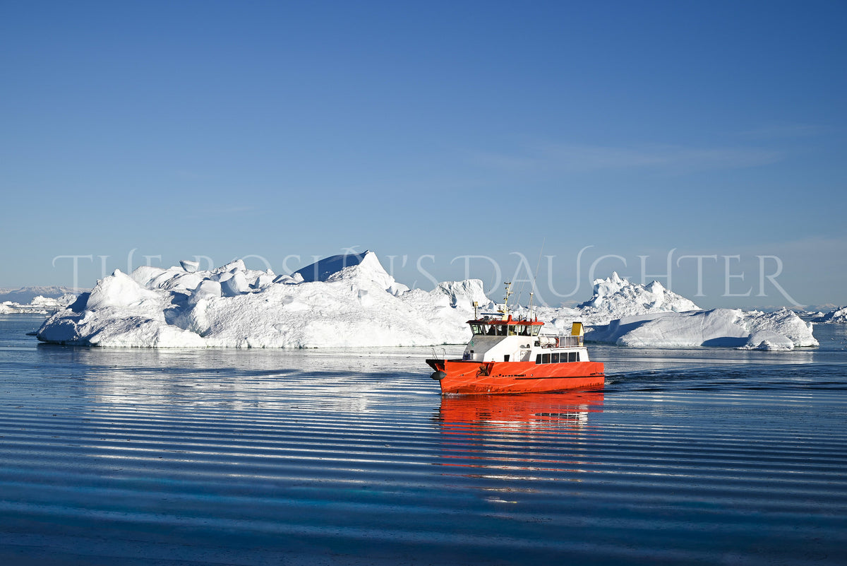 Icebergs of Disko Bay