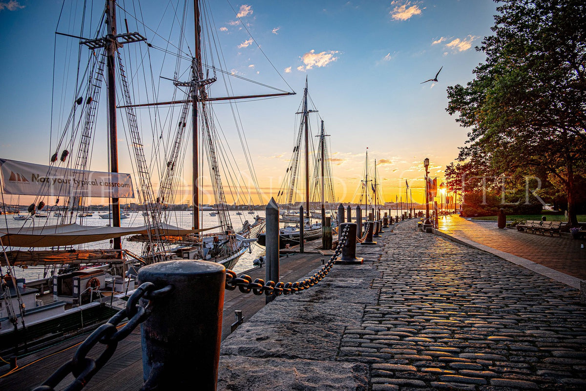 Where the Harbor Meets the Evening