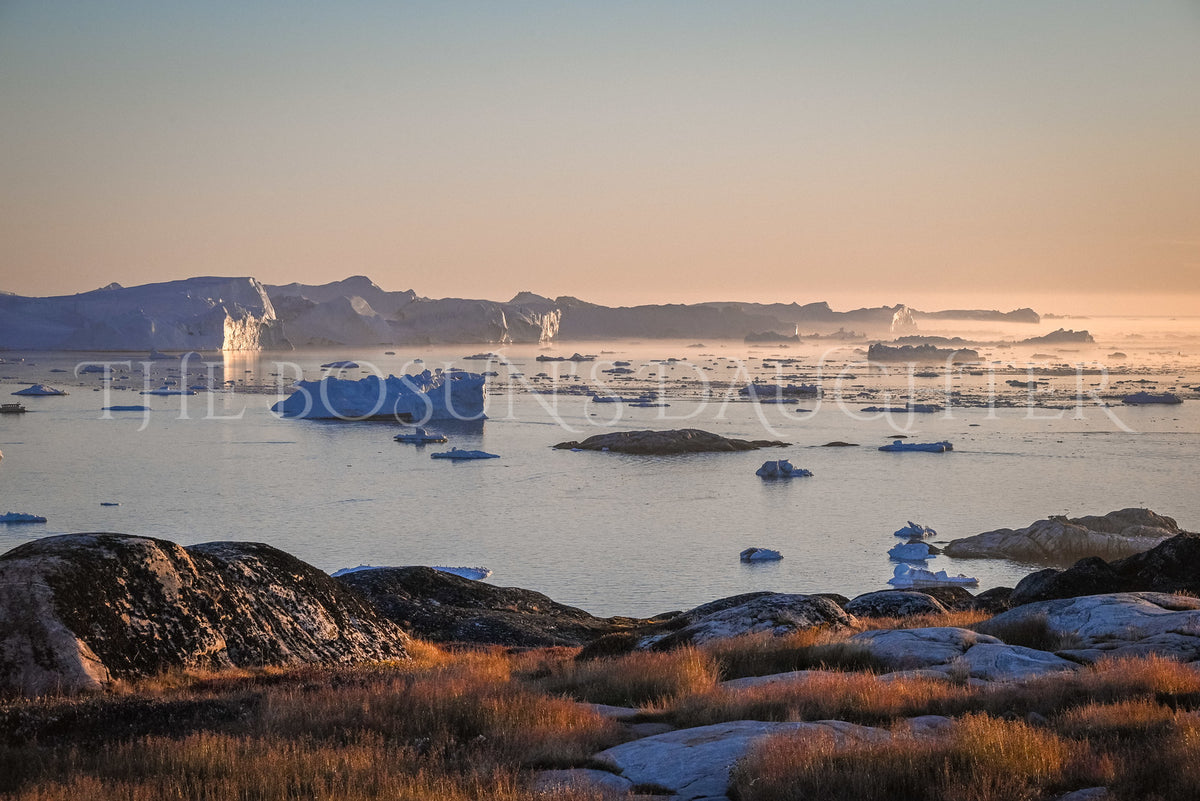 Where the Ice Meets the Coast