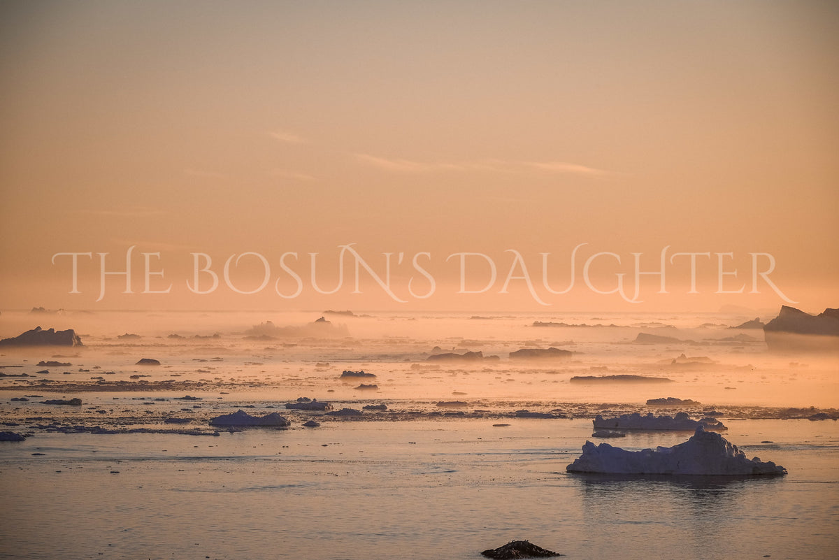 Where the Ice Meets the Coast