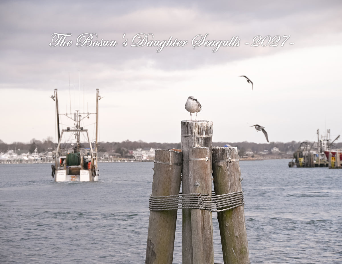 Seagull Calendar 2027: New England